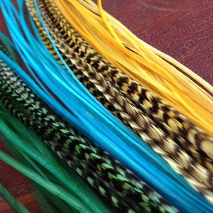 May include: A collection of feathers in various colors, including green, blue, and yellow. The feathers are arranged in a fan shape, with the tips of the feathers pointing towards the right side of the image.