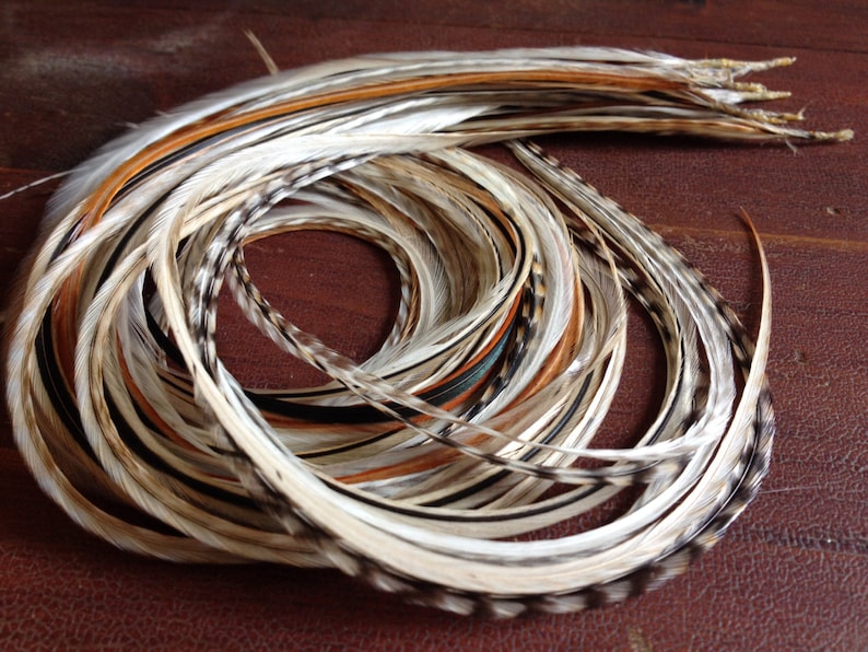 14 Natural Feather Hair Extension XXL Creamy Dreamy 1 Etsy