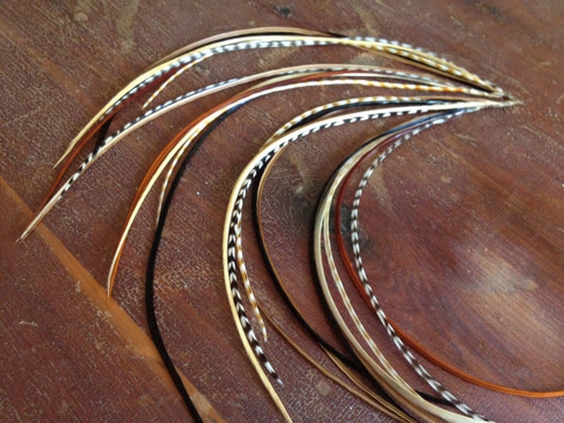Feather Hair Extensions Natures Brown Glory Bundle 1 Etsy