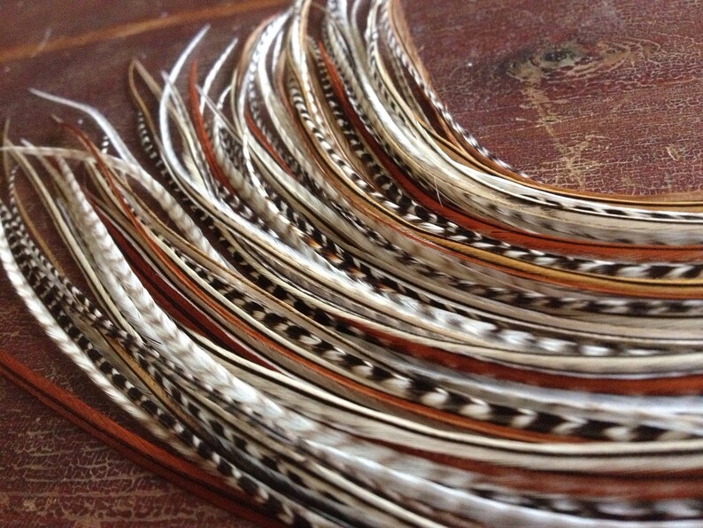 XXL Feather Hair Extension 8 Slender Extra Long All Natural Etsy