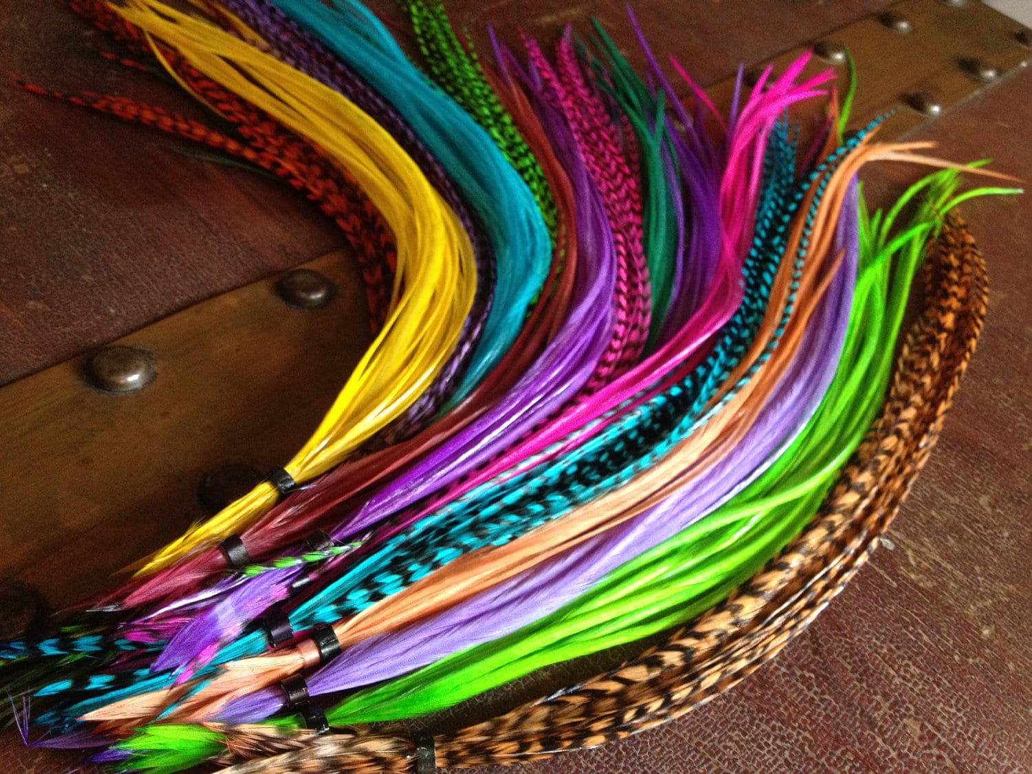 Wholesale Feather Hair Extensions Bulk Pack 25 Salon Plumes Etsy