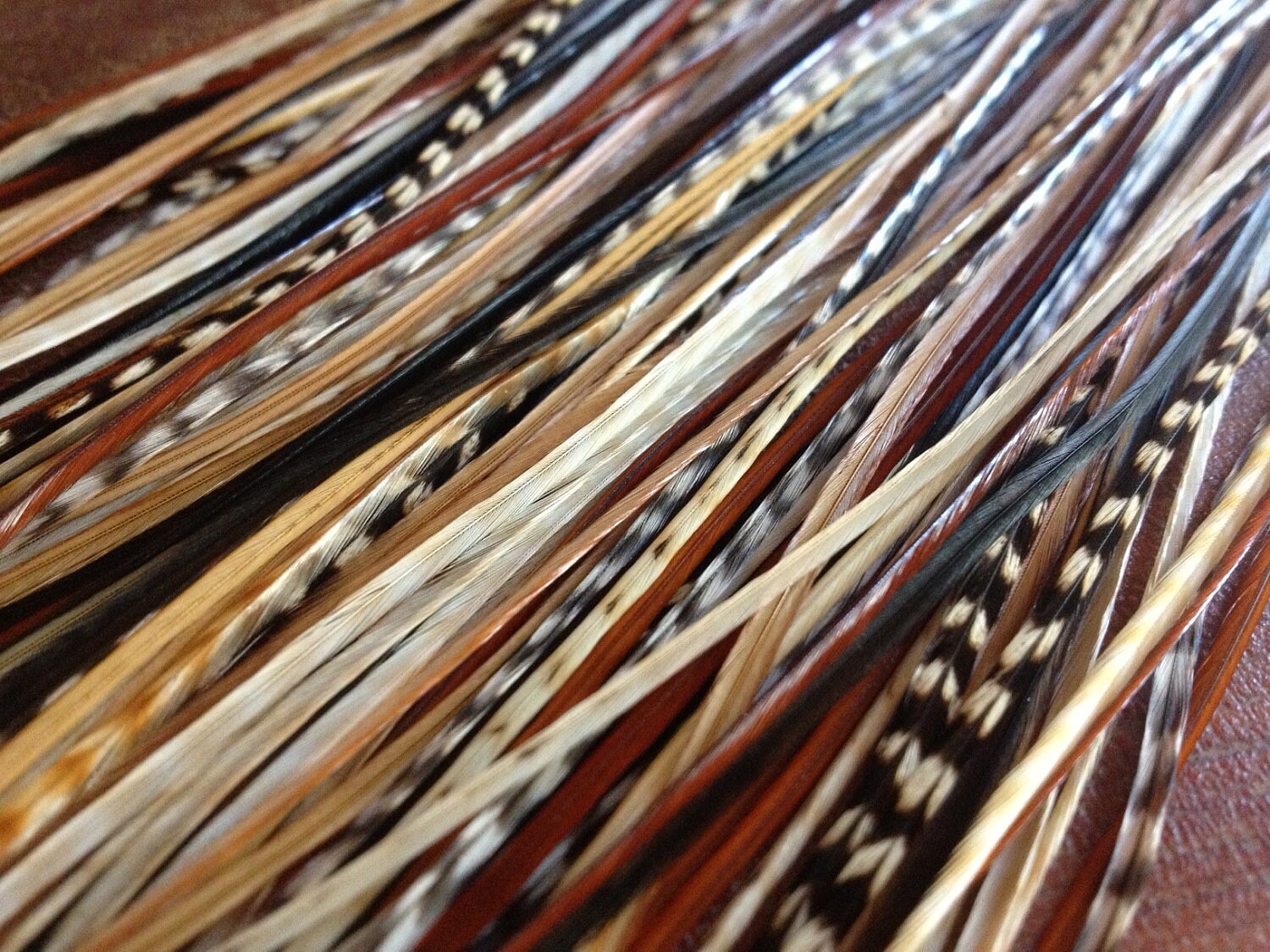 Grizzly Rooster Feathers 7 Cm to 12 Cm 2.75 to 4.72 Copper Gray Black and  White Feathers Zebra Pattern Feathers for Jewelry Making 