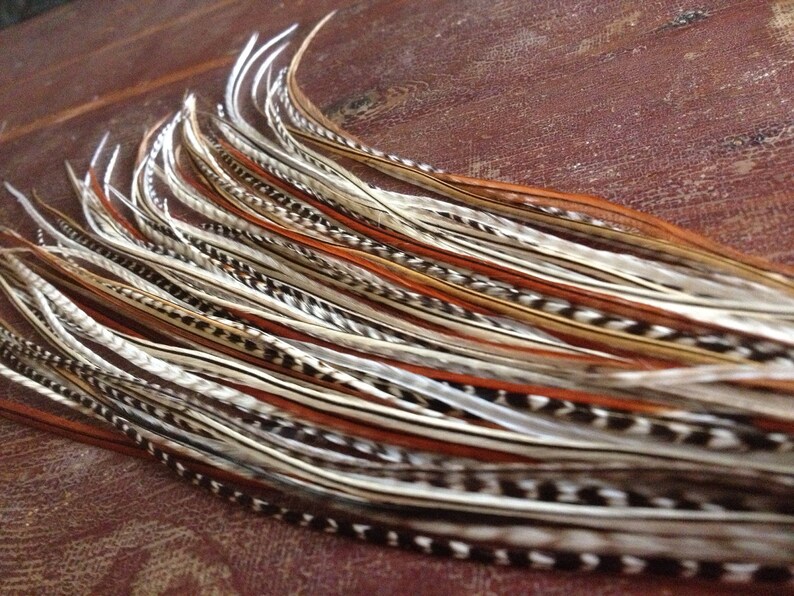XXL Feather Hair Extension 8 Slender Extra Long All Natural Etsy