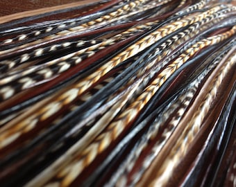 Feather Extensions Black and Brown Grizzly Cree Mix Extra Long Feather Hair Extension / 1 Bundle of 6 Bonded Hair Feathers