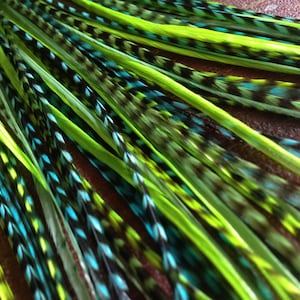 Shades Of Green Feather Hair Extensions With Bright Turquoise Grizzly, 18 Loose Hair Feathers Extension, Hair Accessory Feathers