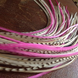 Feather Hair Extensions Long Grizzly Pink Cream Valentine 5 Bonded Real Rooster Hair Feathers,  Pink Feather Extensions