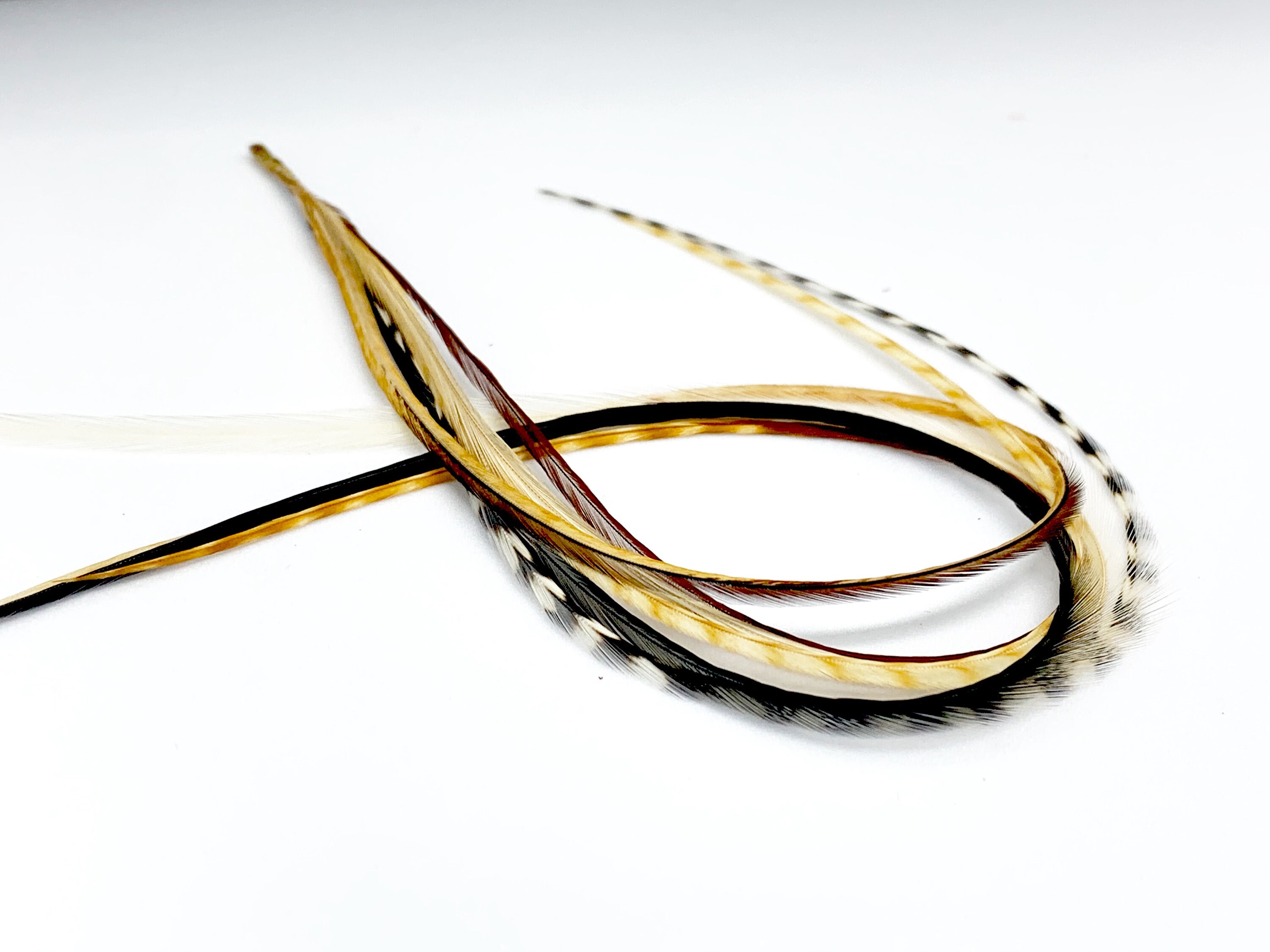 Feather Hair Extensions Natures Brown Glory Bundle 1 Etsy