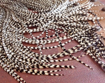 Puede incluir: Un montón de plumas blancas y negras con un patrón de chevron. Las plumas están dispuestas en forma de abanico y están sobre una superficie marrón.