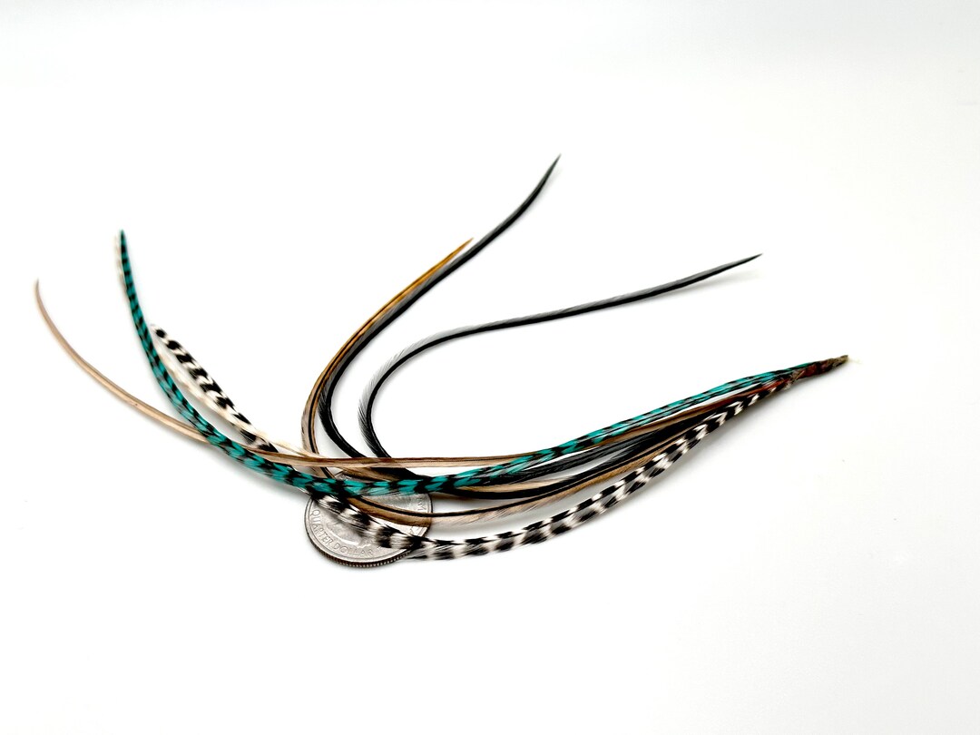 Hair Feather Extensions Black Brown Natural and Turquioise Etsy