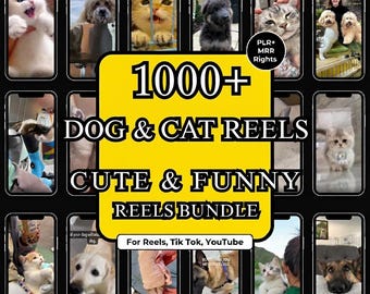 1000+ Dog and Cat Viral Reels Bundle, TikTok and Instagram (Digital PLR)