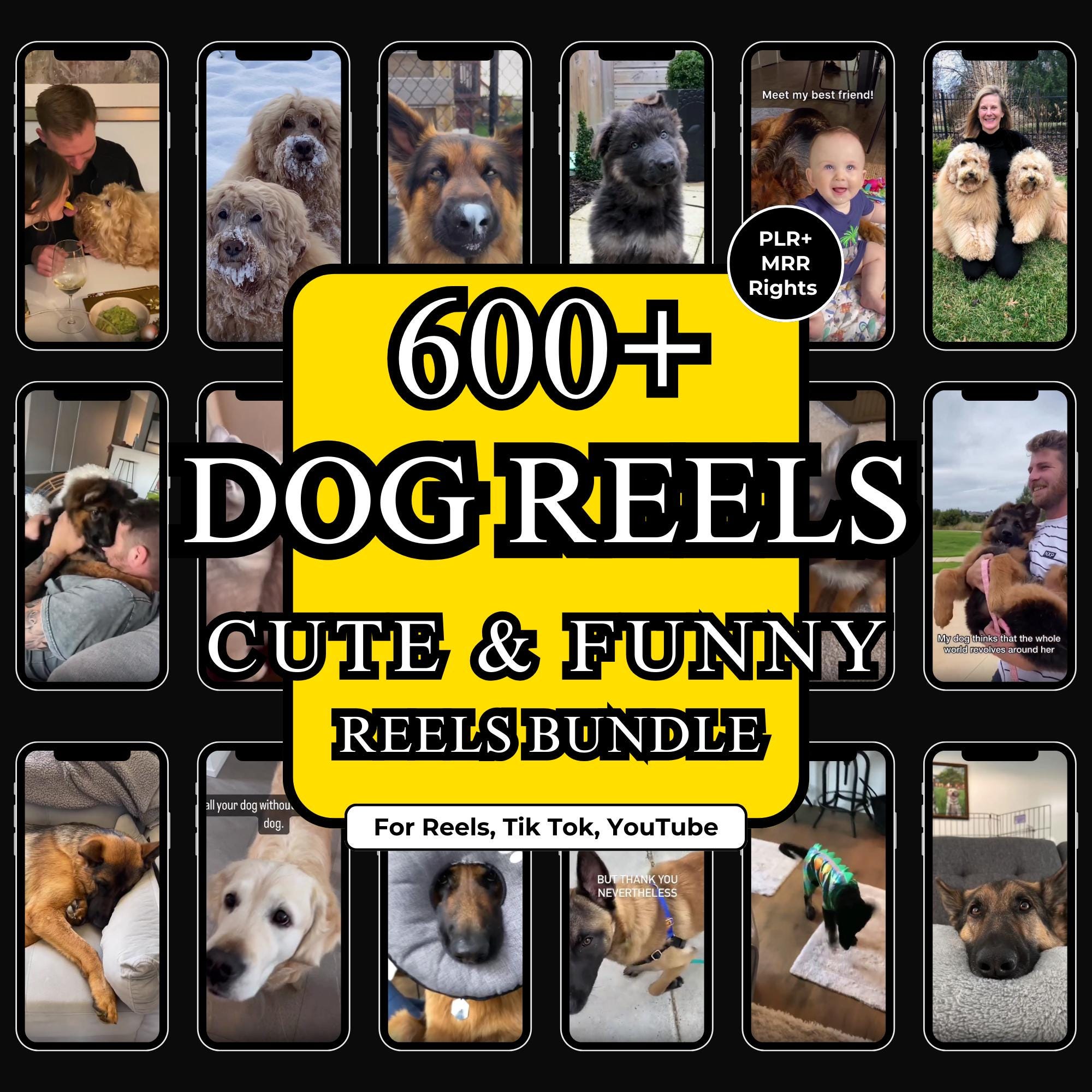 Freelance Dog New Zealand