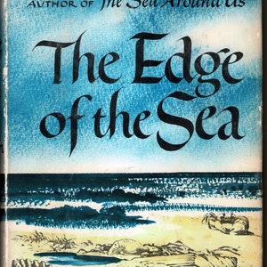 The Edge of the Sea Book by Rachel Carson Illustrations by Bob Hines Houghton Mifflin Boston 1955 1st ed Am Natural History Shore Life