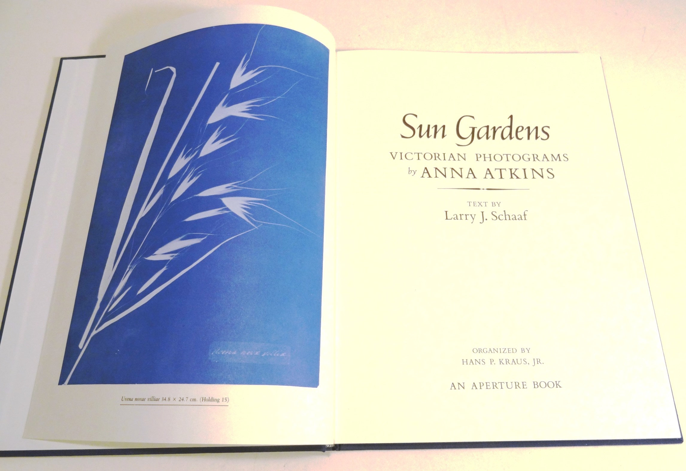 Sun Gardens Book Victorian Photograms by Anna Atkins Text Schaaf