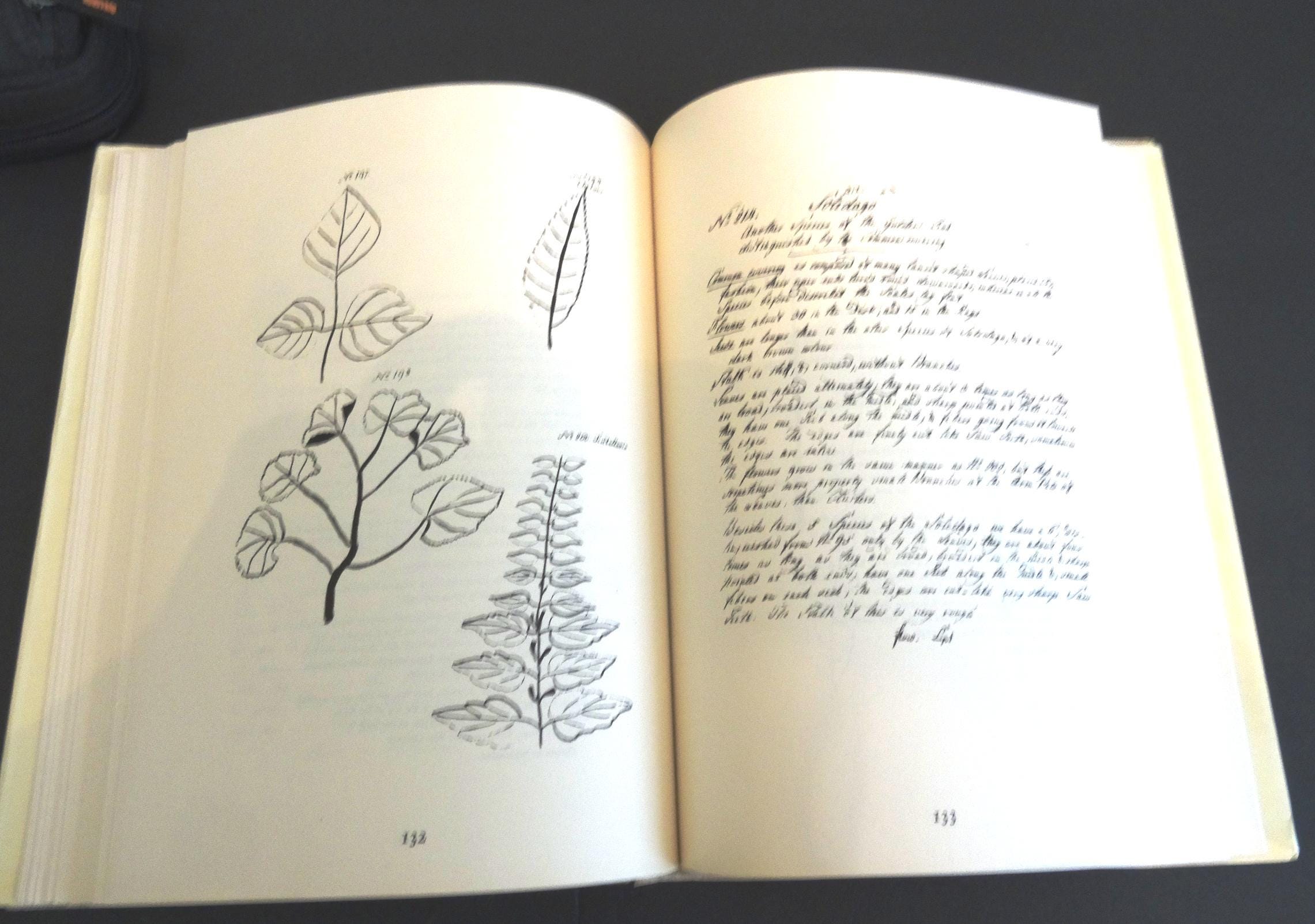Flora of Jersey フランシス・ル・スール著 植物誌 洋書 本 Flora of