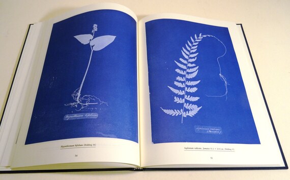 Sun Gardens Book Victorian Photograms by Anna Atkins Text Schaaf