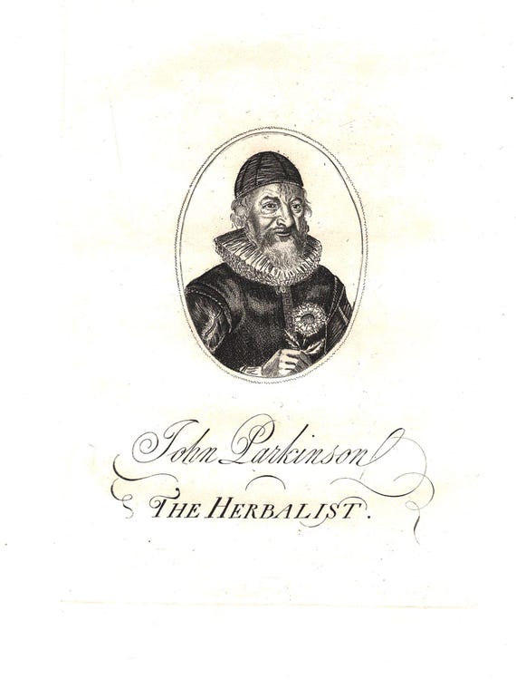 Rare Antique John Parkinson the Herbalist Portrait Print Engraving