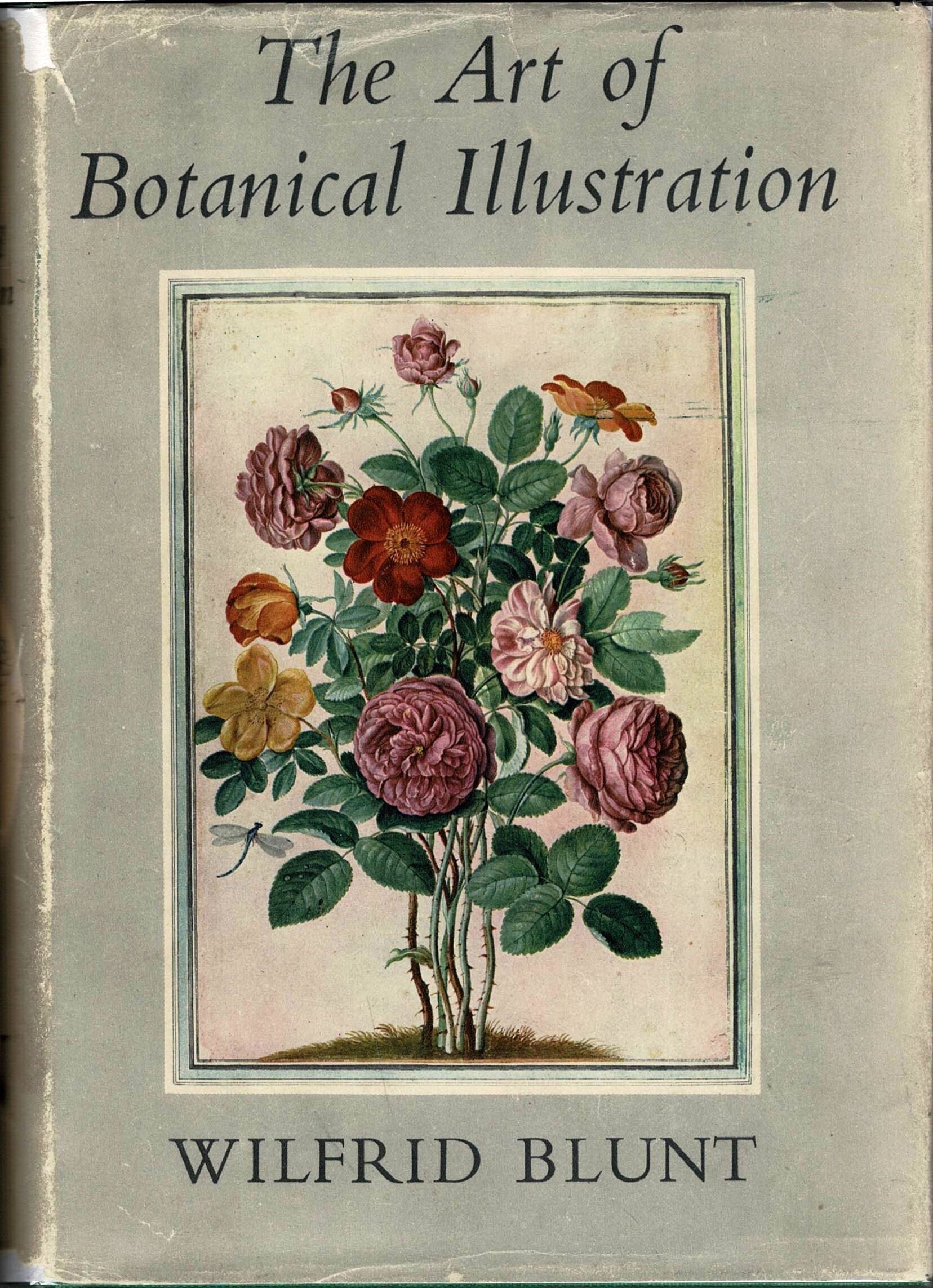 Antique Flower Book