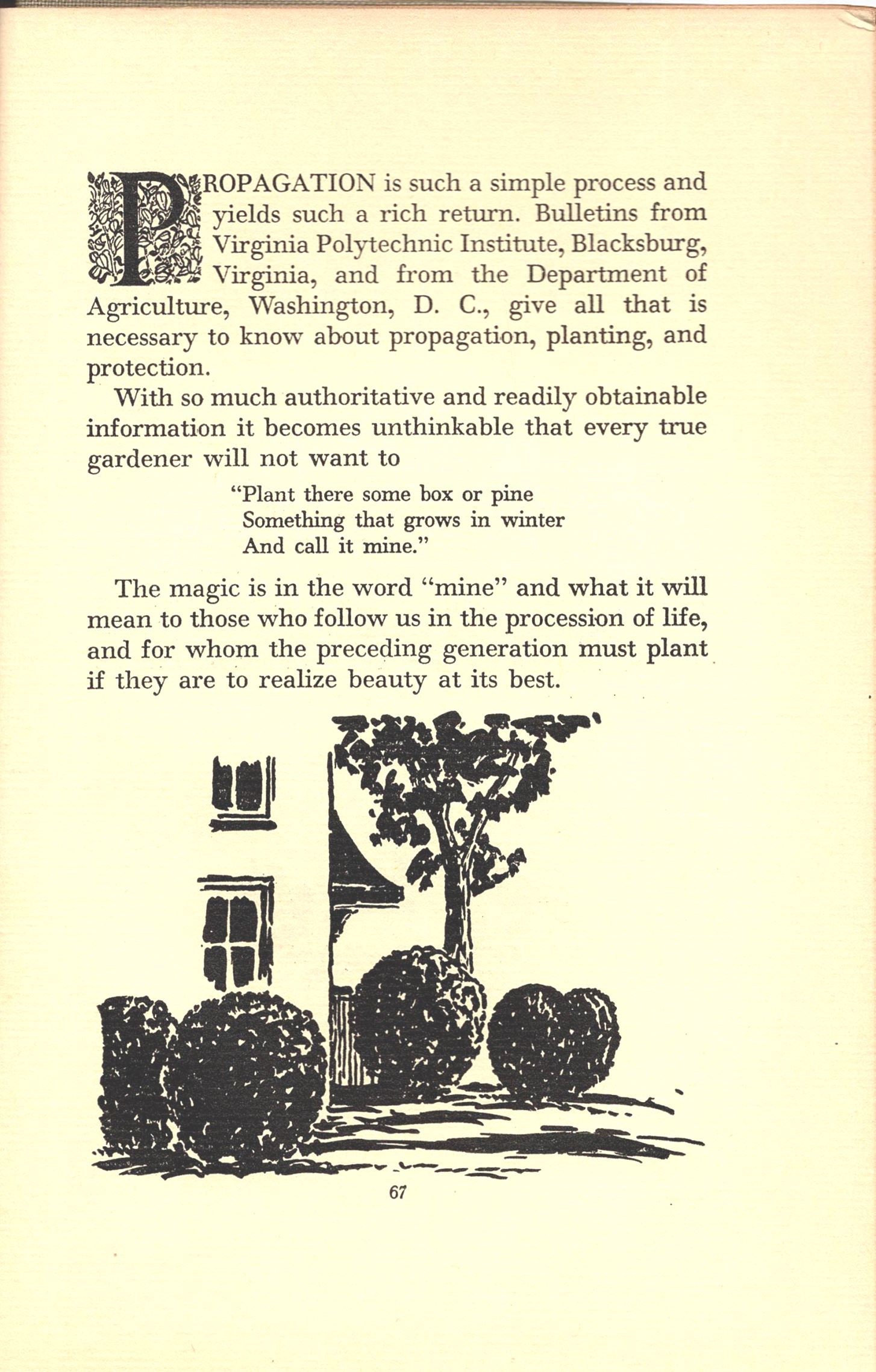 Antique Vintage the Story of Boxwood Book by Mccarty Drawings by Peters  Dietz Press Richmond VA History Outdoor Shrubs Landscape Design