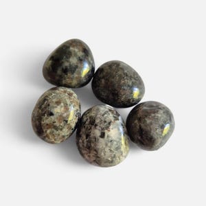 May include: Five oval-shaped, polished stones with a speckled, mottled appearance. The stones have dark green, brown, and grey tones, with a glossy finish. They are arranged on a white surface.