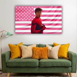 以下が含まれることがあります： ピンクと白のアメリカ国旗のデザインと、赤と黒のスーツを着た人物が描かれた額入りのウォールアート。アートは、黄色とクリーム色のクッションが付いた緑色のソファの上に飾られています。