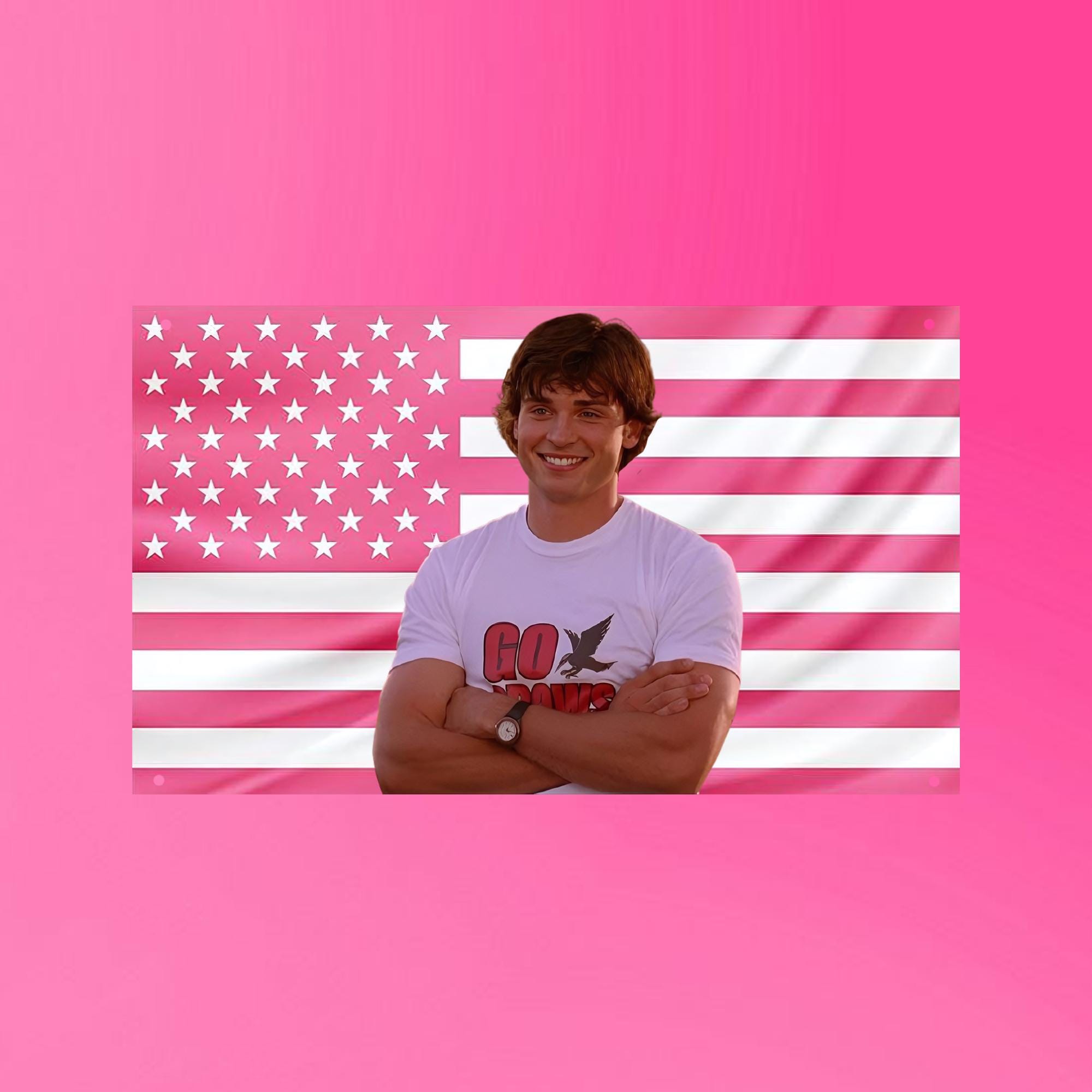 Bandiera Americana Rosa Con Asole In Metallo – Poster Decorativo Per Casa, Giardino E Terrazzo