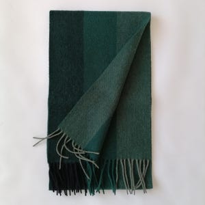 May include: A folded green scarf with a gradient design, transitioning from dark to lighter shades of green. The scarf has a fringed edge with gray and black tassels, and is displayed against a white background.