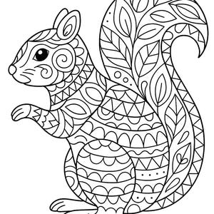 May include: Black and white line art illustration of a squirrel. The squirrel is depicted in a side profile, with intricate patterns filling its body and tail. The design includes geometric shapes, swirls, and leaf-like elements.