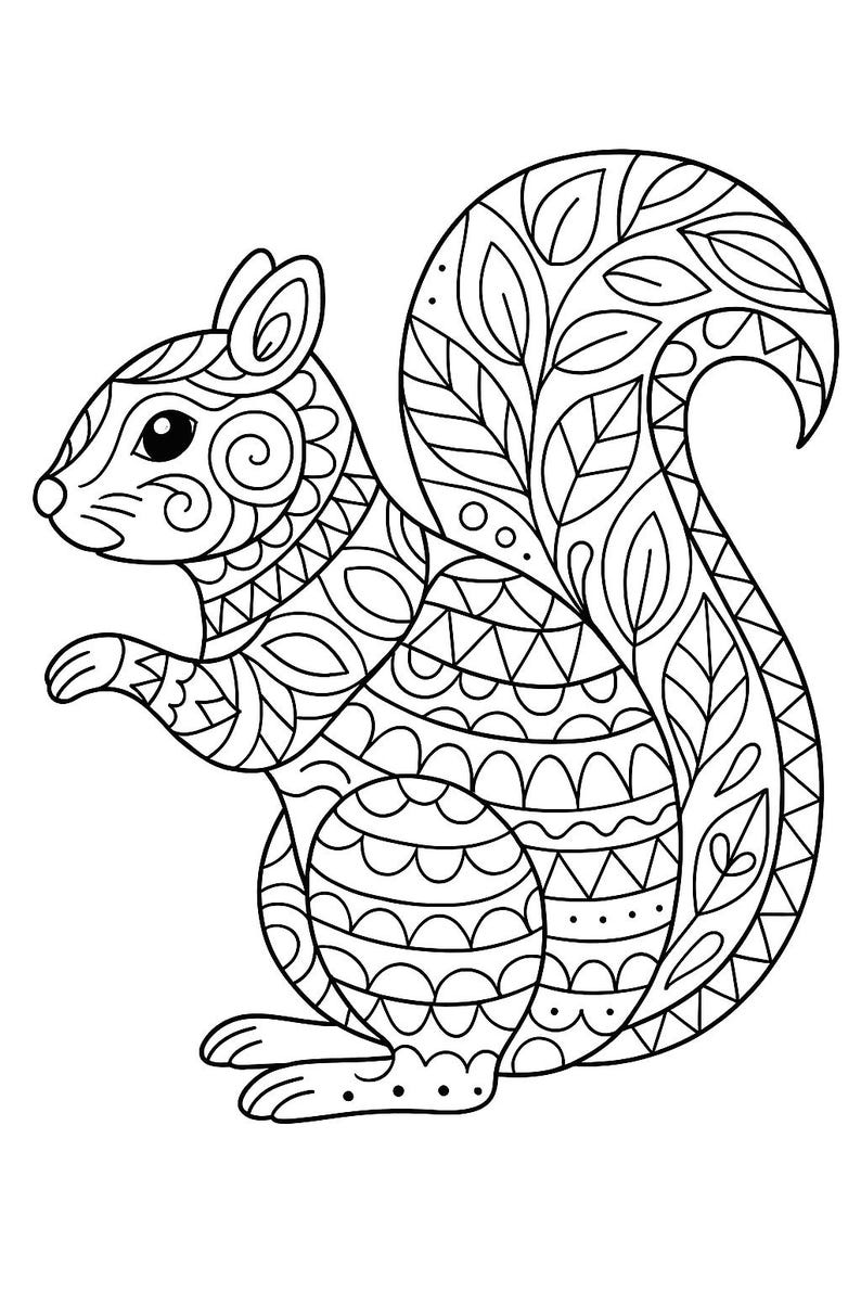 May include: Black and white line art illustration of a squirrel. The squirrel is depicted in a side profile, with intricate patterns filling its body and tail. The design includes geometric shapes, swirls, and leaf-like elements.