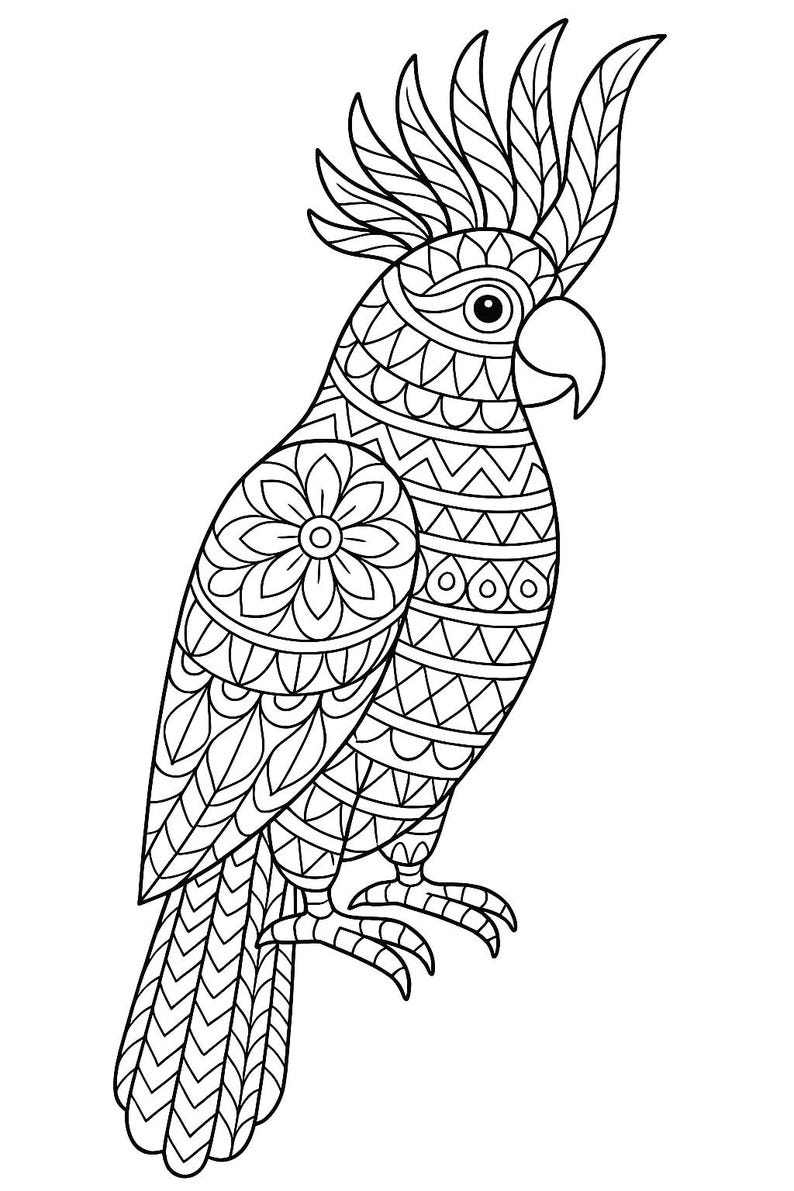 May include: Black and white illustration of a parrot with intricate geometric patterns. The parrot features a large crest, a curved beak, and detailed feather designs. The artwork is suitable for coloring or decorative purposes.
