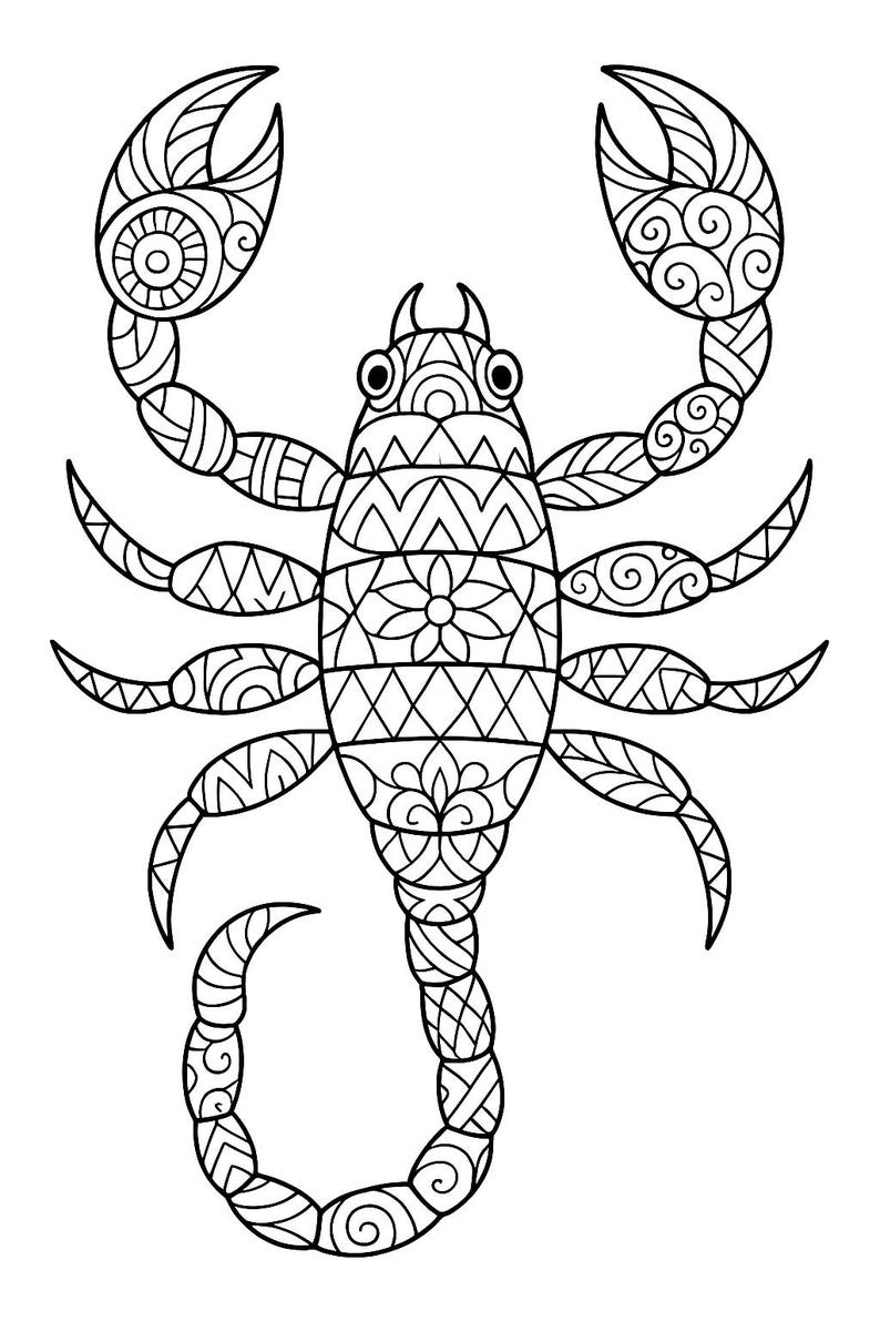 May include: Black and white illustration of a scorpion with intricate, symmetrical patterns. The scorpion's body is segmented, with detailed designs on the claws, legs, and tail. The artwork is suitable for coloring or decorative purposes.