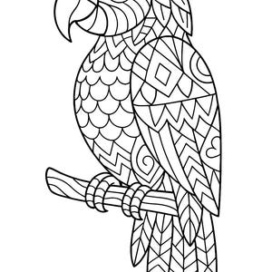 K&ouml;nnte beinhalten: Schwarz-Wei&szlig;-Illustration eines Papageis mit aufwendigen geometrischen Mustern. Der Papagei sitzt auf einem Ast, mit detaillierten Designs auf seinen Federn und seinem K&ouml;rper. Der Schnabel ist gebogen und das Auge detailliert.