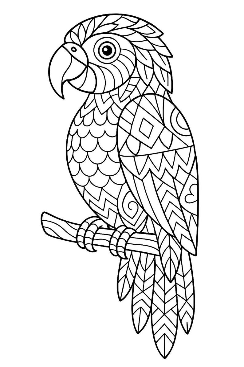 K&ouml;nnte beinhalten: Schwarz-Wei&szlig;-Illustration eines Papageis mit aufwendigen geometrischen Mustern. Der Papagei sitzt auf einem Ast, mit detaillierten Designs auf seinen Federn und seinem K&ouml;rper. Der Schnabel ist gebogen und das Auge detailliert.