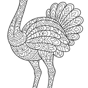 May include: A detailed black and white illustration of an ostrich. The bird is depicted in a standing pose, with intricate patterns filling its body, neck, and legs. The design is reminiscent of a coloring book page, with a focus on geometric shapes and lines.