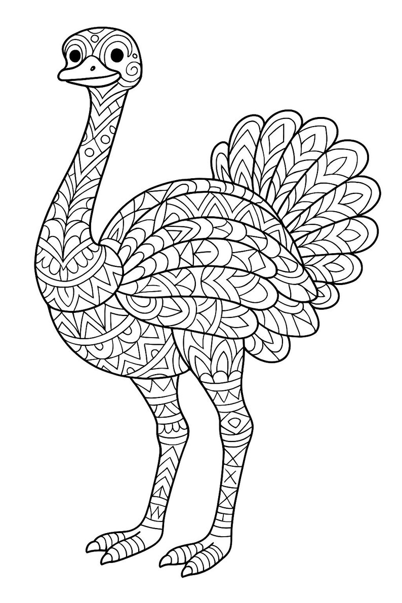 May include: A detailed black and white illustration of an ostrich. The bird is depicted in a standing pose, with intricate patterns filling its body, neck, and legs. The design is reminiscent of a coloring book page, with a focus on geometric shapes and lines.