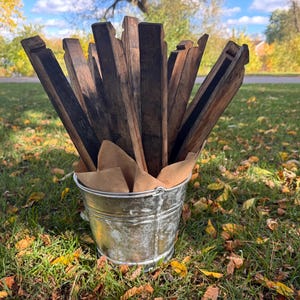 May include: A galvanized metal bucket filled with weathered wooden barrel staves. The staves are various shades of brown and black, with visible grain and texture. The bucket sits on a bed of green grass and fallen leaves, with a blurred background of trees and a blue sky.