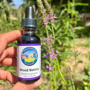 May include: A dark brown glass bottle with a black dropper top and a white label. The label says "Wise Mountain Botanicals" and "Wood Betony Herbal Supplement 1 fl. oz. (30 ml)".