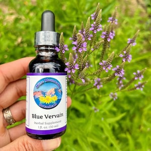 Blue vervain Tincture (Verbena hastata)- Fresh plant extract *Grown on our micro farm in Mount Shasta, California*
