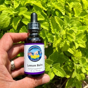 Lemon Balm Tincture (Melissa officinalis)- Fresh plant extract *Grown on our micro farm in Mount Shasta, California*