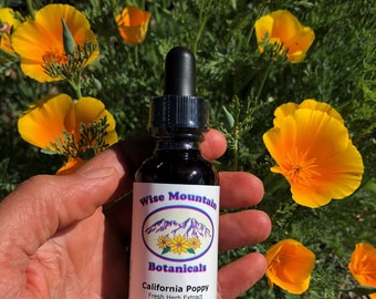 California Poppy Tincture