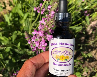 Wood Betony Tincture