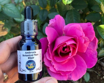 Ambrosia // Botanical Aromatic Face Elixir // Serum For Dry, Mature, Damaged Skin Repair // Argan, Rosehip, Rose, Helichrysum, and Jasmine