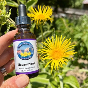 Elecampane Root Tincture (Inula helenium)- Fresh plant extract *Grown on our micro farm in Mount Shasta, California*