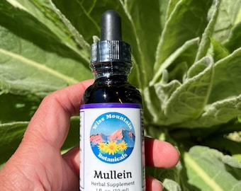 Wild Harvested Mullein Leaf Tincture – Fresh Plant Extract