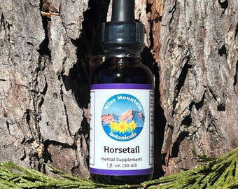 Wild Harvested Horsetail Tincture – Fresh Plant Extract