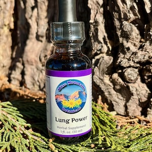 Lung Power Tincture- Fresh plant extract