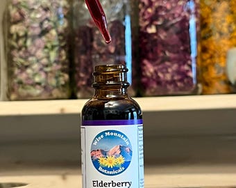 Wild Harvested Elderberry Tincture – Fresh Herbal Extract