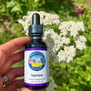 Yarrow Tincture (Achillea millefolium)- Fresh plant extract *Grown on our micro farm in Mount Shasta, California*