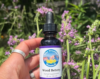 Wood Betony Tincture – Fresh Stachys officinalis Extract, Micro Farm Grown
