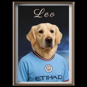 custom football pet portrait, personalized dog cat in team shirt, funny birthday gift for pet lover, wall art printable, digital download