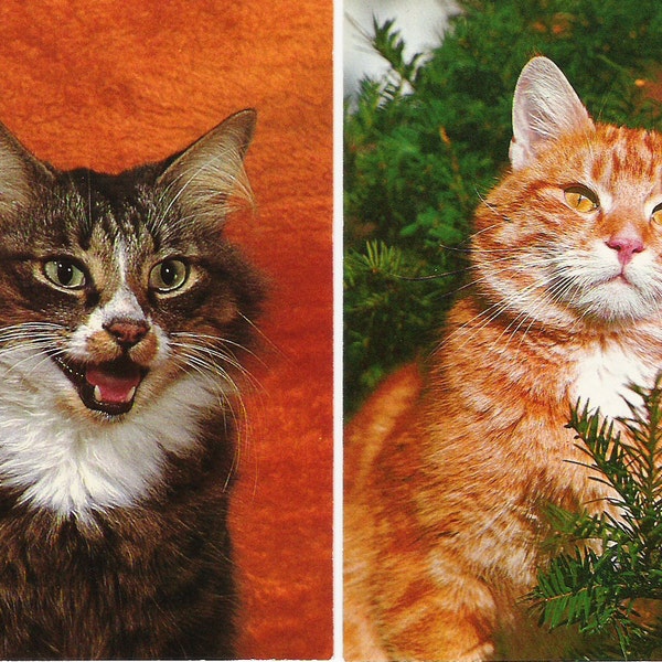 Lot of 2  Vintage Cat Postcards - Vintage Cat Ephemera Vintage Cat Kitties Kittens Photos Scrapbooking